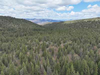 Eastern Oregon Mascall Ranch Outside Dayville - image 21