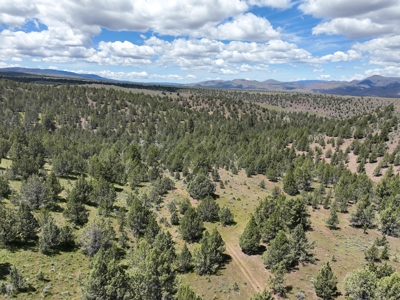 Eastern Oregon Mascall Ranch Outside Dayville - image 45