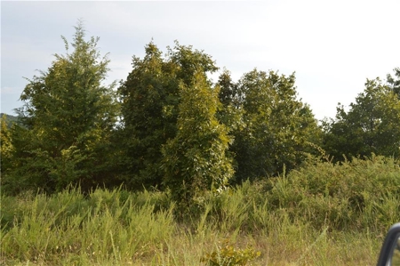 10 Acres For Sale in Prairie Grove, Arkansas - image 3
