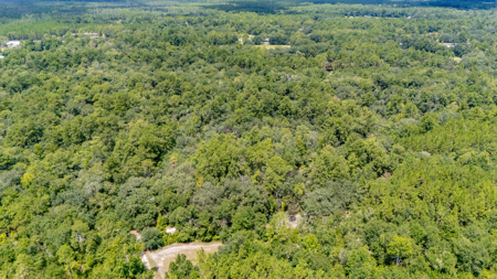 Family Style Home for Sale in Sanderson, Florida - image 9