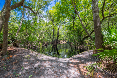 Family Style Home for Sale in Sanderson, Florida - image 5