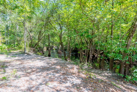 Family Style Home for Sale in Sanderson, Florida - image 4