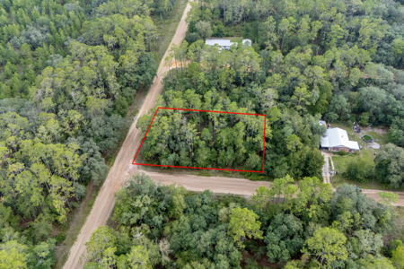 Vacant Lot for Sale in Interlachen, Florida - image 7