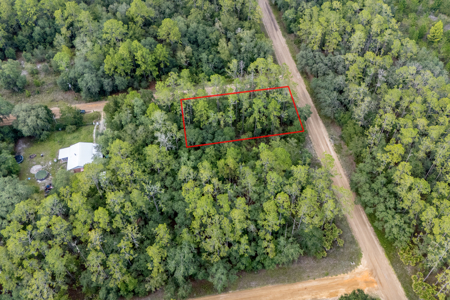 Vacant Lot for Sale in Interlachen, Florida - image 5