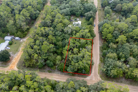 Vacant Lot for Sale in Interlachen, Florida - image 4