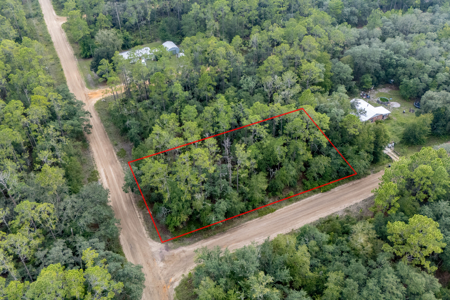 Vacant Lot for Sale in Interlachen, Florida - image 8