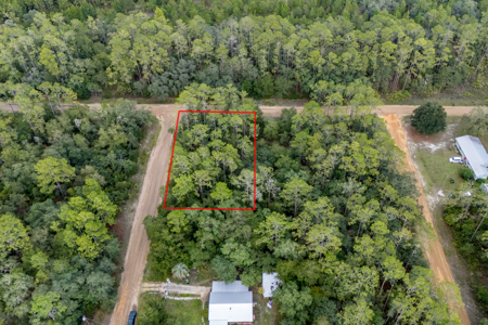 Vacant Lot for Sale in Interlachen, Florida - image 2