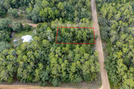 Vacant Lot for Sale in Interlachen, Florida - image 11