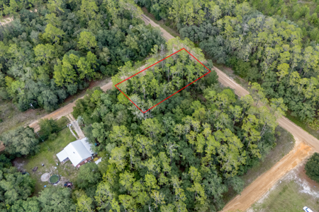 Vacant Lot for Sale in Interlachen, Florida - image 6