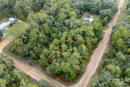 Vacant Lot for Sale in Interlachen, Florida - image 3
