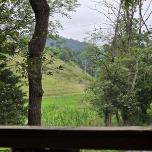 Farmhouse for Sale in Shawsville VA - image 43