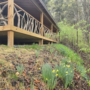 Farmhouse for Sale in Shawsville VA - image 2