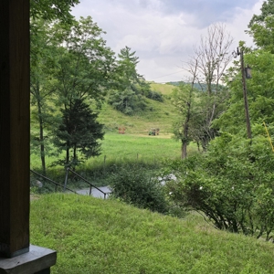 Farmhouse for Sale in Shawsville VA - image 42