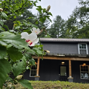 Farmhouse for Sale in Shawsville VA - image 48