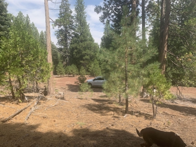 Land for Sale in California Pines – Your Nature Retreat Awaits! - image 3