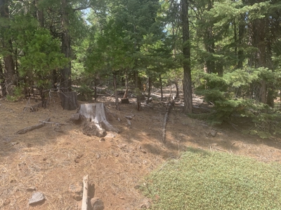 Land for Sale in California Pines – Your Nature Retreat Awaits! - image 8