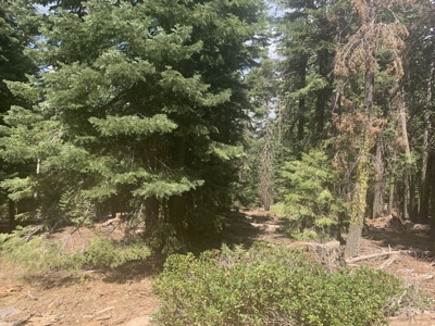 Land for Sale in California Pines – Your Nature Retreat Awaits! - image 6
