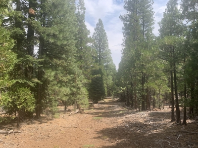 Land for Sale in California Pines – Your Nature Retreat Awaits! - image 13