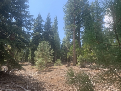 Land for Sale in California Pines – Your Nature Retreat Awaits! - image 1