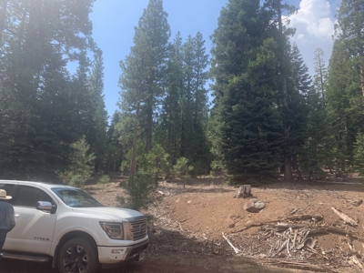 Land for Sale in California Pines – Your Nature Retreat Awaits! - image 4