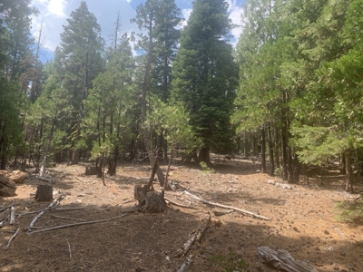 Land for Sale in California Pines – Your Nature Retreat Awaits! - image 12