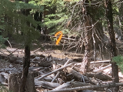 Land for Sale in California Pines – Your Nature Retreat Awaits! - image 10