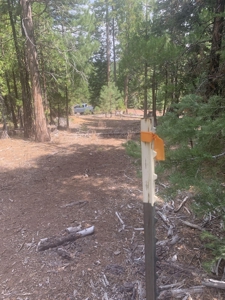 Land for Sale in California Pines – Your Nature Retreat Awaits! - image 2