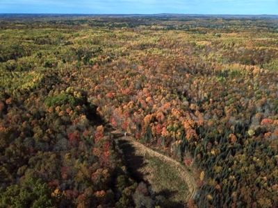 Private Lakefront Acreage For Sale in Northern Wisconsin - image 38