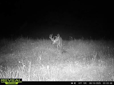 Private Lakefront Acreage For Sale in Northern Wisconsin - image 45