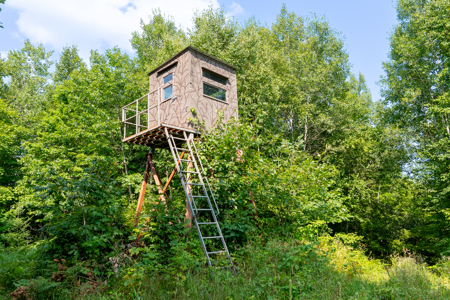 Private Lakefront Acreage For Sale in Northern Wisconsin - image 16