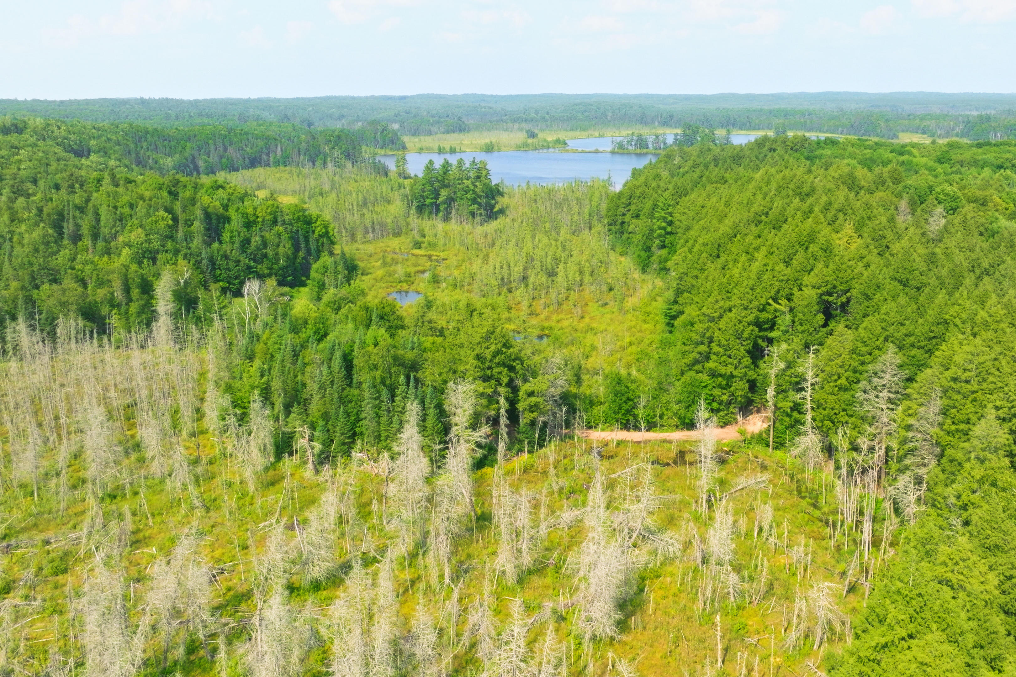 Acreage For Sale