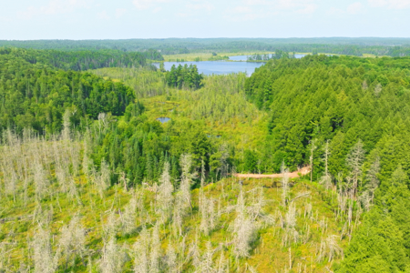 Private Lakefront Acreage For Sale in Northern Wisconsin - image 1