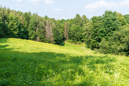 Private Lakefront Acreage For Sale in Northern Wisconsin - image 28