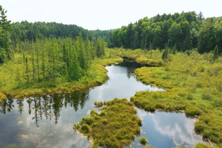 Private Lakefront Acreage For Sale in Northern Wisconsin - image 24