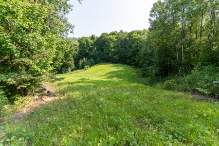 Private Lakefront Acreage For Sale in Northern Wisconsin - image 18