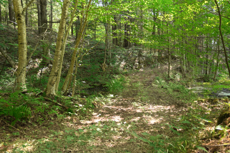 Private Lakefront Acreage For Sale in Northern Wisconsin - image 29