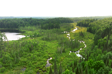 Private Lakefront Acreage For Sale in Northern Wisconsin - image 30