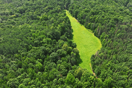 Private Lakefront Acreage For Sale in Northern Wisconsin - image 25