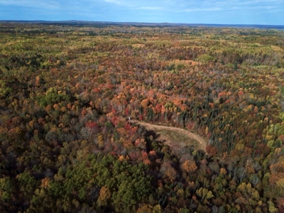 Private Lakefront Acreage For Sale in Northern Wisconsin - image 37