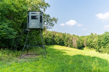 Private Lakefront Acreage For Sale in Northern Wisconsin - image 15