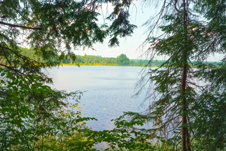 Private Lakefront Acreage For Sale in Northern Wisconsin - image 34