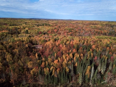 Private Lakefront Acreage For Sale in Northern Wisconsin - image 39