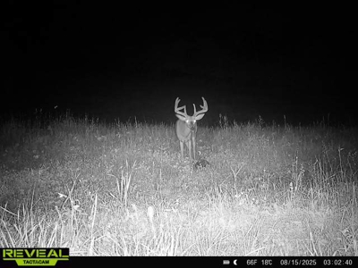 Private Lakefront Acreage For Sale in Northern Wisconsin - image 42