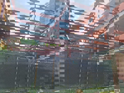 Prime 200m² Titled Lot for Sale in Growing Bocas del Toro Area - image 1