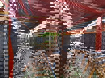 Prime 200m² Titled Lot for Sale in Growing Bocas del Toro Area - image 4