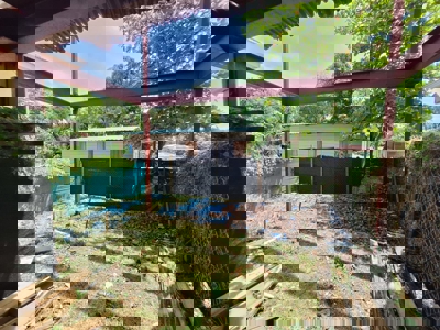 Prime 200m² Titled Lot for Sale in Growing Bocas del Toro Area - image 6