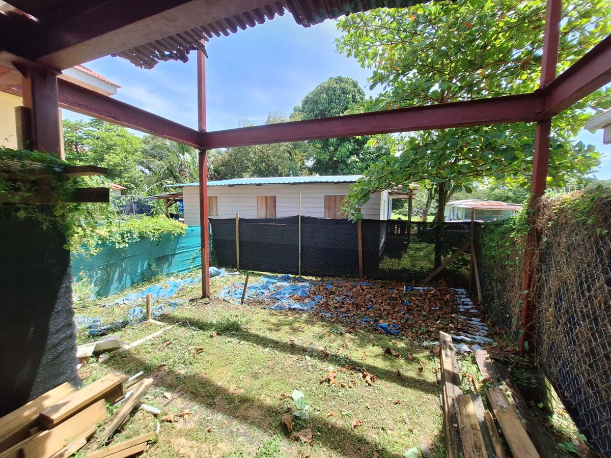 Prime 200 m² Titled Lot, Existing Structure — Bocas Town, Isla Colón - 5