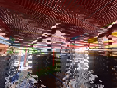 Prime 200m² Titled Lot for Sale in Growing Bocas del Toro Area - image 3