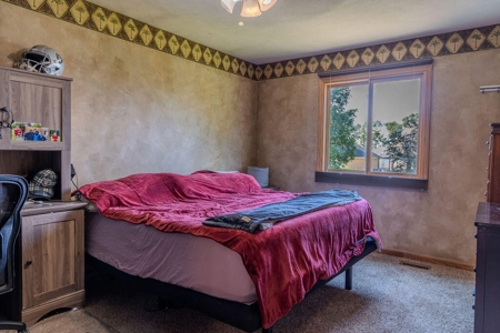 Move-in-Ready, Home in Town for Sale in Blair, Nebraska - image 20