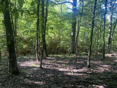 Waterfront Land For Sale In Tn On Indian Creek - image 17